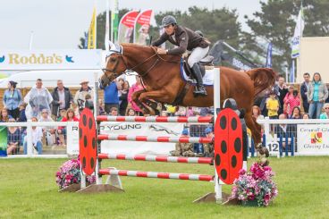 A horse leaping over a jump at the Royal Cornwall Show.