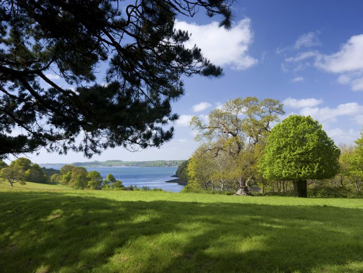 A field and trees with the sea in the distance.