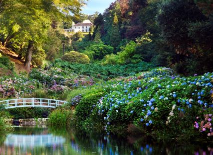 A bridge spanning the pond at Trebah Garden.