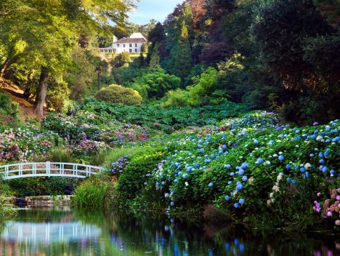 A bridge spanning the pond at Trebah Garden.