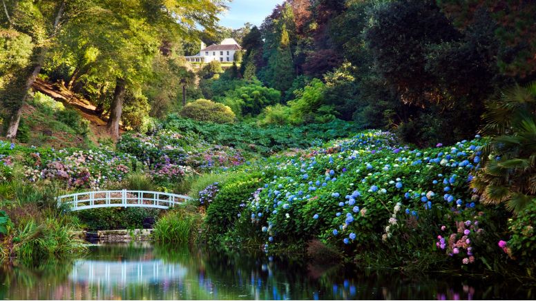 A bridge spanning the pond at Trebah Garden.