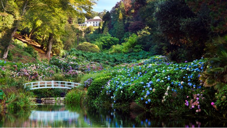 A bridge spanning the pond at Trebah Garden.