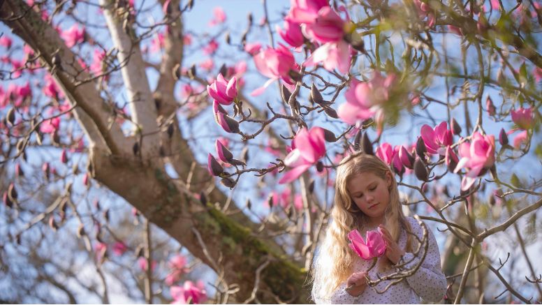 A girl stands beneath a pink magnolia tree.