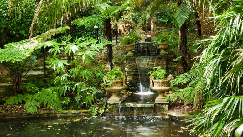 A man-made waterfall at Trebah Garden.