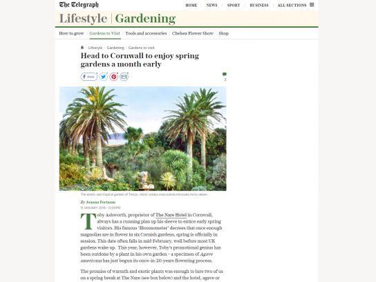 The Nare on The Telegraph website lifestyle section.