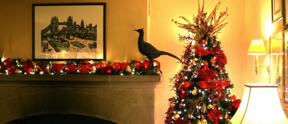 A Christmas tree and festive decorations at The Nare hotel.