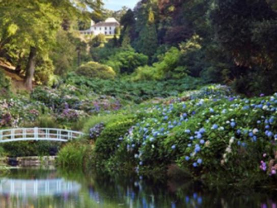 One of Cornwall's Great Gardens, near The Nare hotel.
