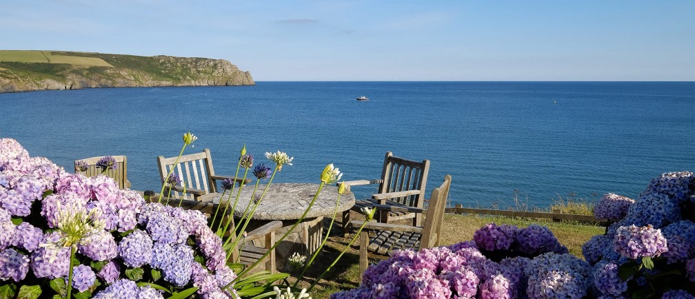 Flowers in the foreground, the sea in the background.