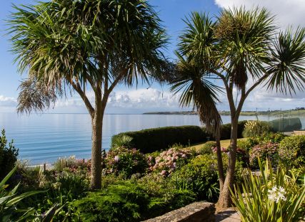 Palm trees in The Nare's gardens with the Cornish coast beyond.