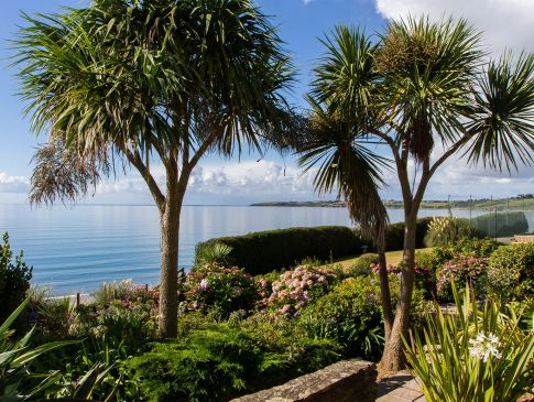 Palm trees in The Nare's gardens with the Cornish coast beyond.