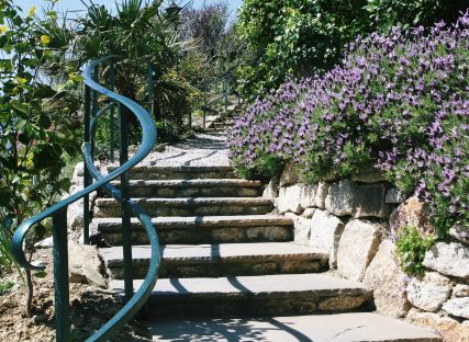 Steps up through The Nare hotel gardens.