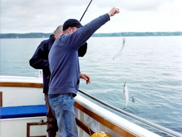 Two fishermen reel in a catch.