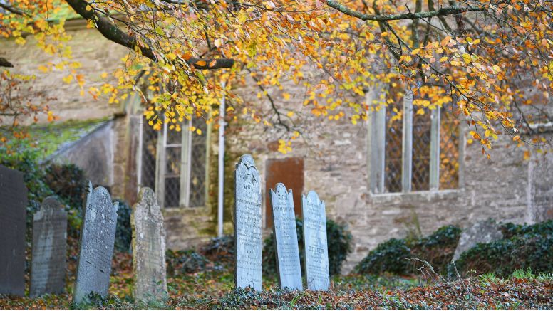 Gravestones and autumnal trees in the Veryan church cemetery.